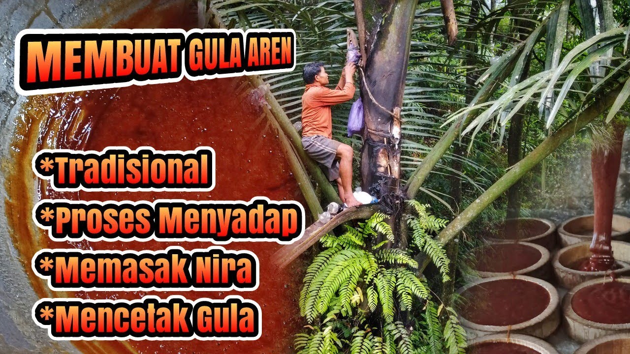 PROSES PEMBUATAN GULA AREN TRADISIONAL