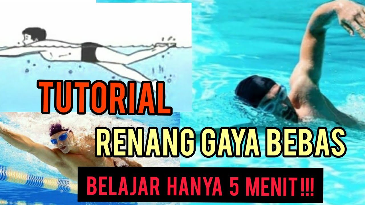 Tutorial Renang Gaya Bebas Bagi Pemula | Hanya 5 Menit Langsung Bisa Renang Gaya Bebas 