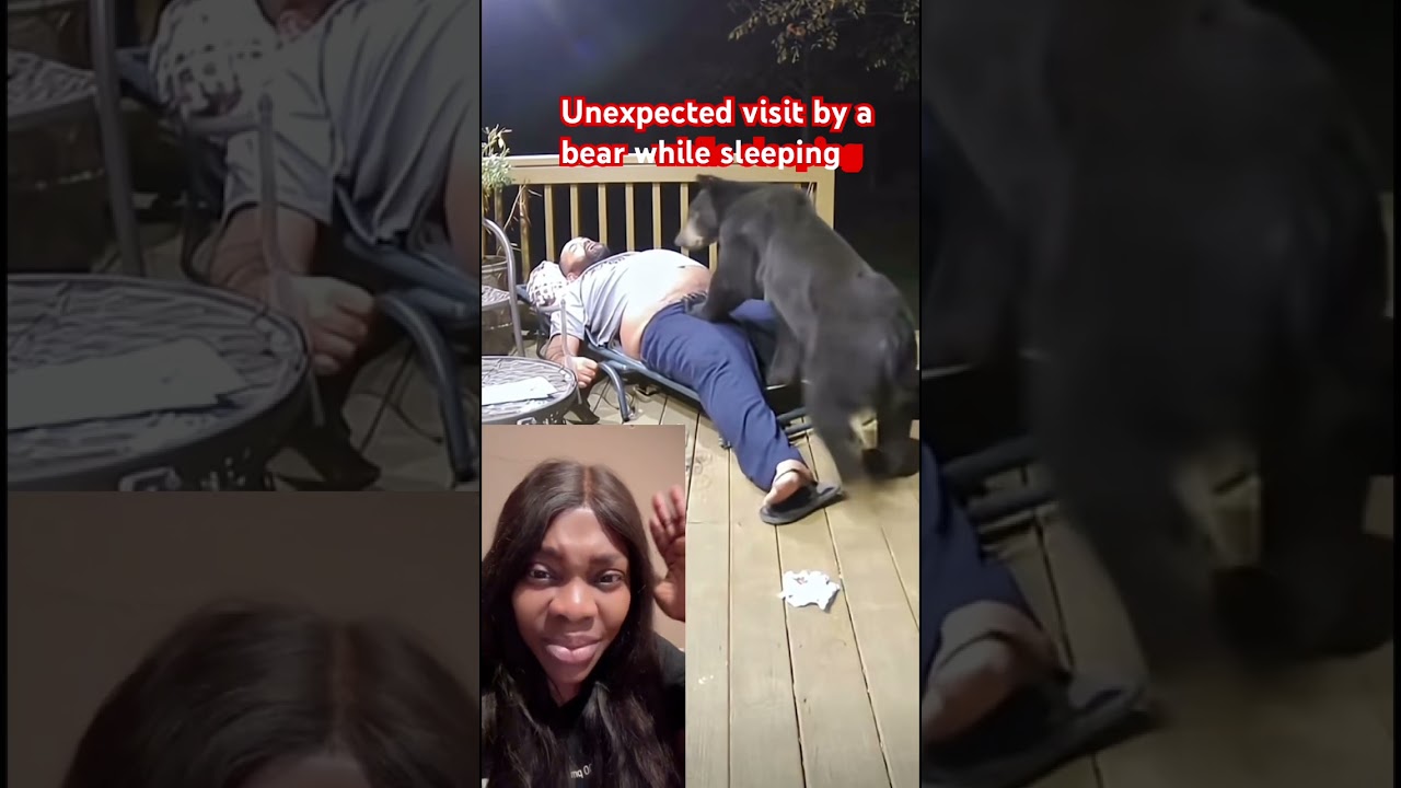 My reaction / Unexpected visit by a bear ￼