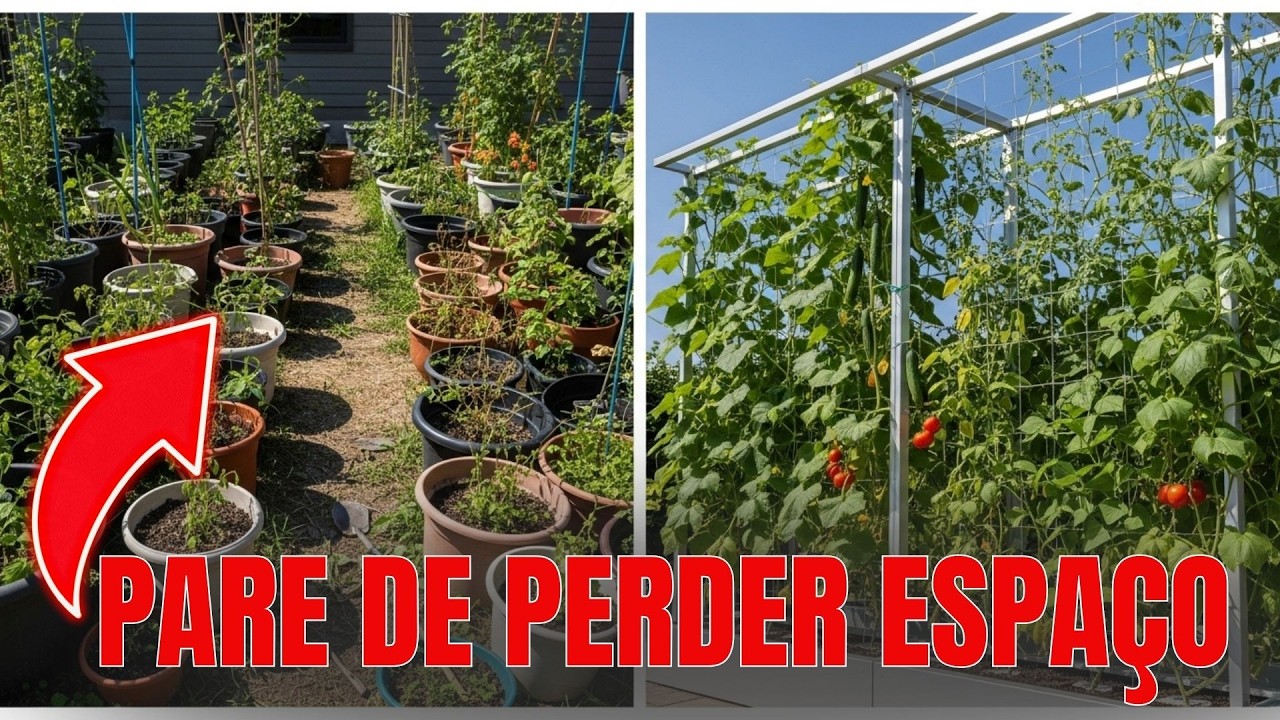 Pouco Espaço? Faça um Jardim Vertical Que Produz Comida por Anos