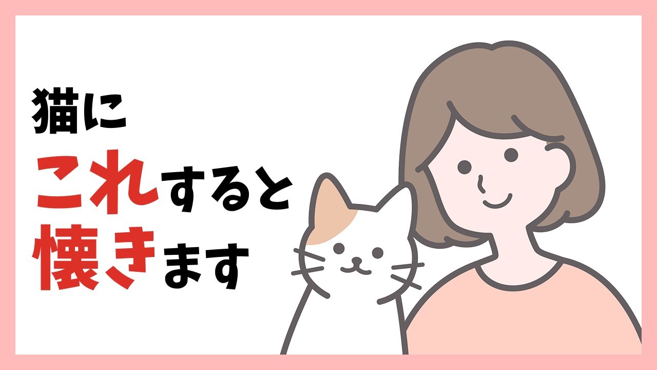 【必見】猫が懐く方法10選 #猫 #ねこ #ネコ #雑学 #豆知識 #トリビア