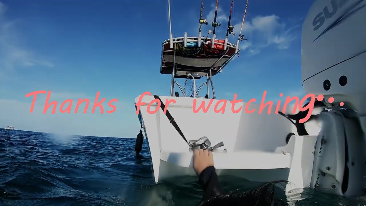 Florida Keys dive Part 1: Sombrero Reef