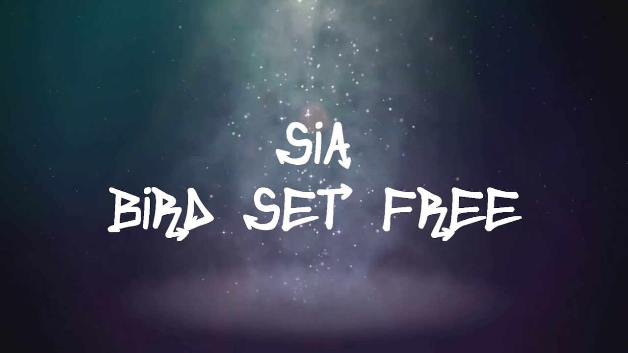 Sia Bird Set Free #new_single_from_the@album #ThisIsActing