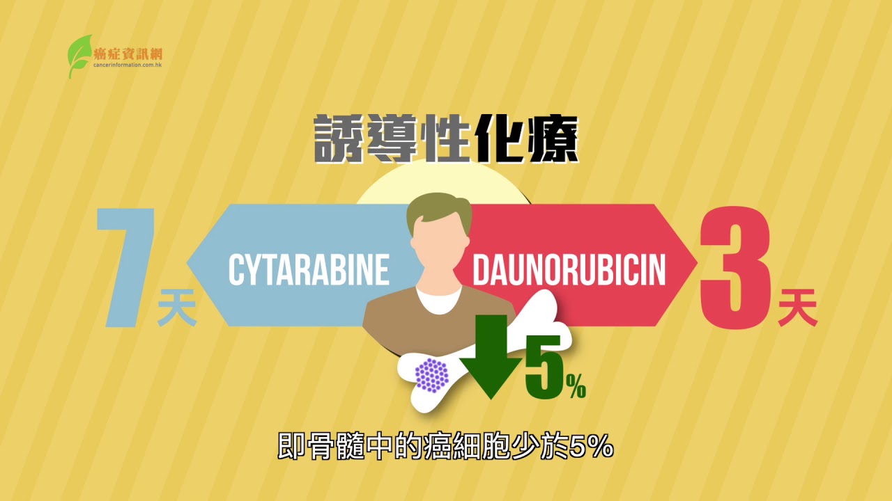 急性骨髓性白血病AML