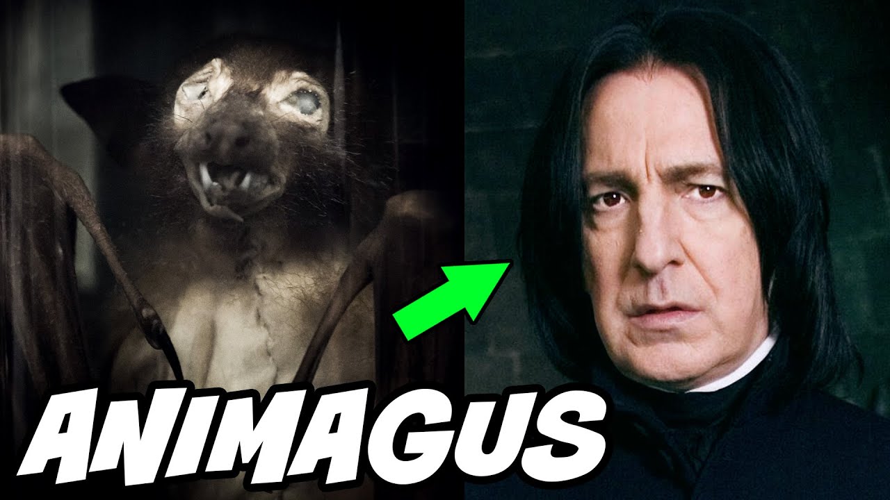 Snape Was an Animagus - Harry Potter Theory