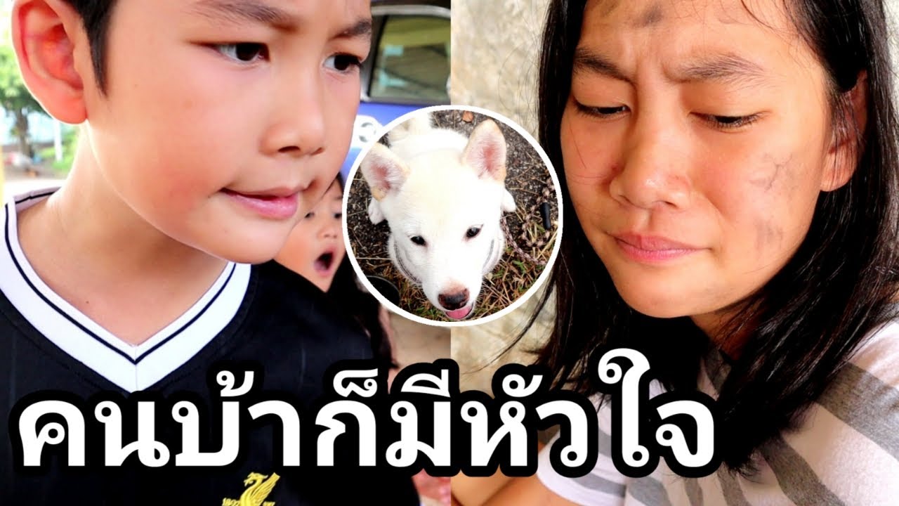 (Eng Sub) คนบ้ากับหมาหลงทาง หนังสั้น | เจไจ๋แปนฟิลม์