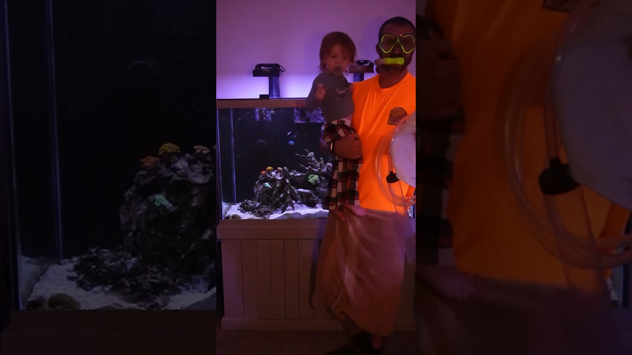 Discover the Secrets of Saltwater Aquarium Care