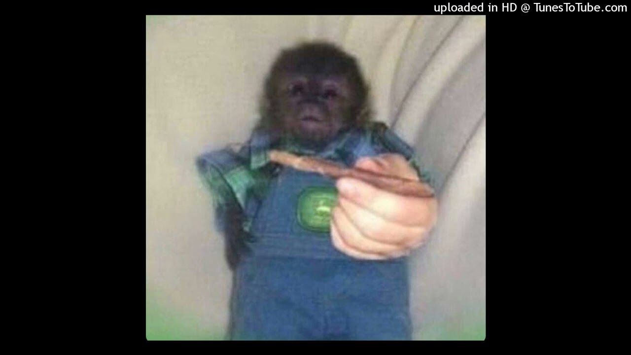 AK BANDAMONT X DETROIT TYPE BEAT (FUNKY MONKEY) @DTBEATZ