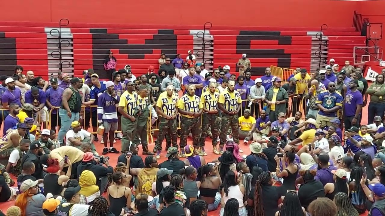 Omega Psi Phi (Mu Epsilon) Spring 23 New Members Presentation