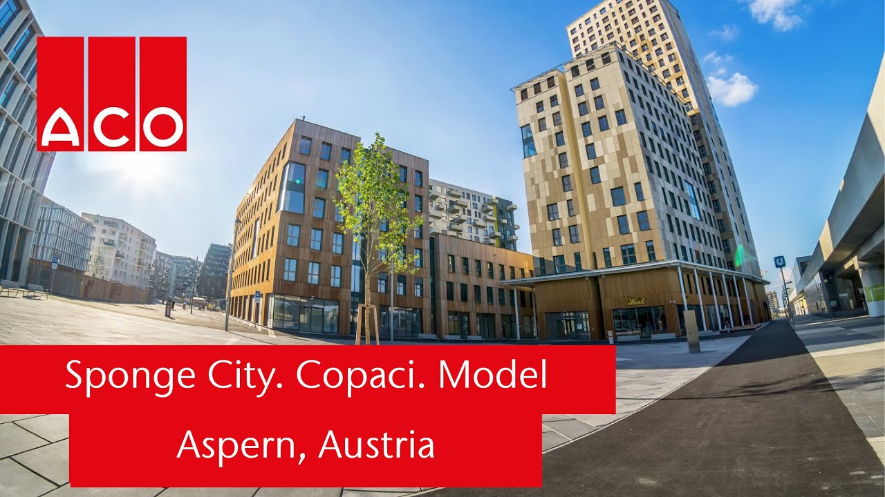 Sponge City.  Copaci.  Principii de funcționare aplicate în Aspern Austria