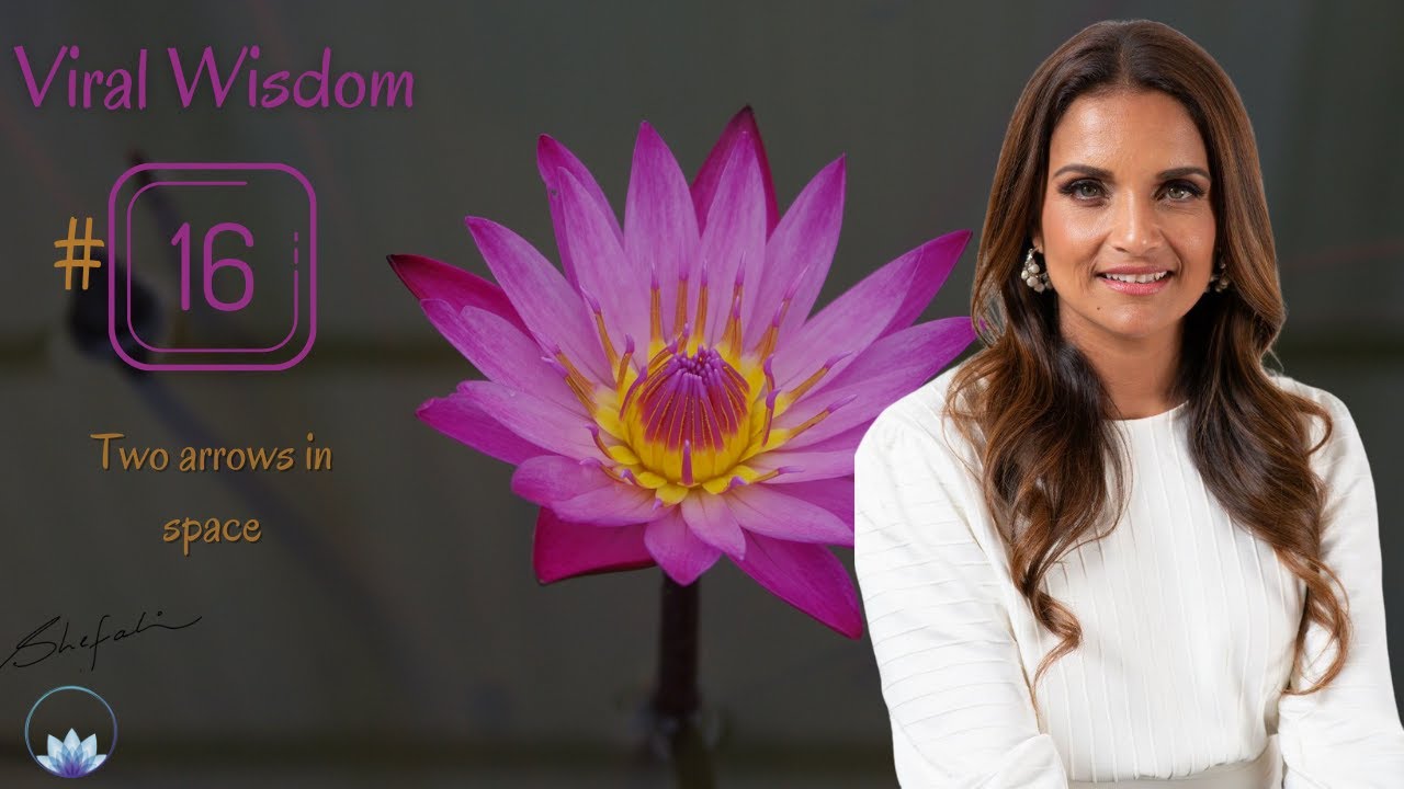 Day 16 Viral Wisdom 4 25 2020