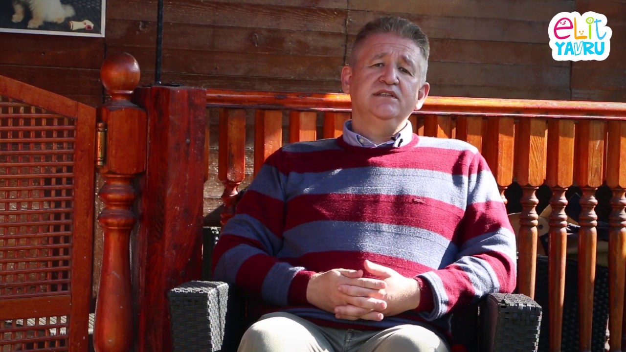 K&ouml;peklerde temel itaat eğitimi nedir ?