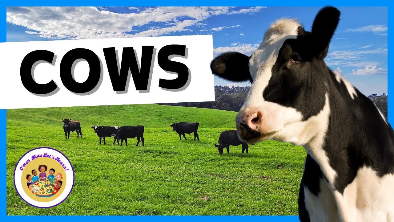 Kids Educational Videos | Kindergarten and Elementary ENGLISH | 🐄 Fun Facts About Cows for Kids!!!