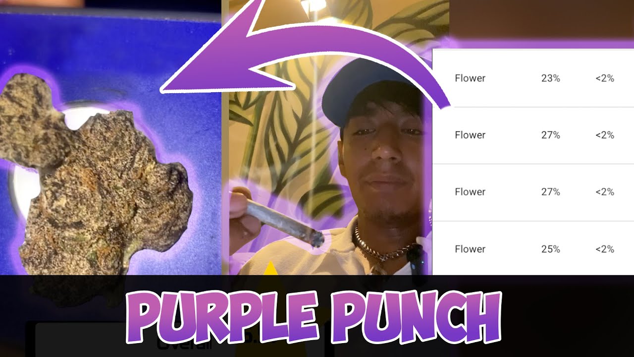 Purple Punch (ES) Hasher Club Review #203