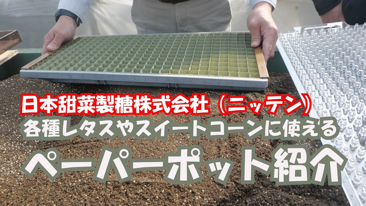 これからの播種作業に使えるペーパーポット紹介これで定植も怖いものなし21/1/21＃1143