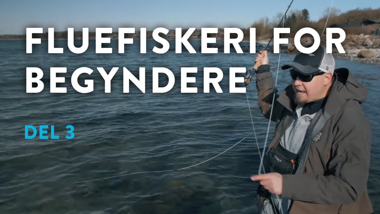 Fluefiskeri for begyndere - Del 3: Opstart på kysten