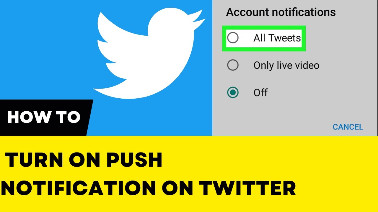 How to Turn On Push Notification on Twitter
