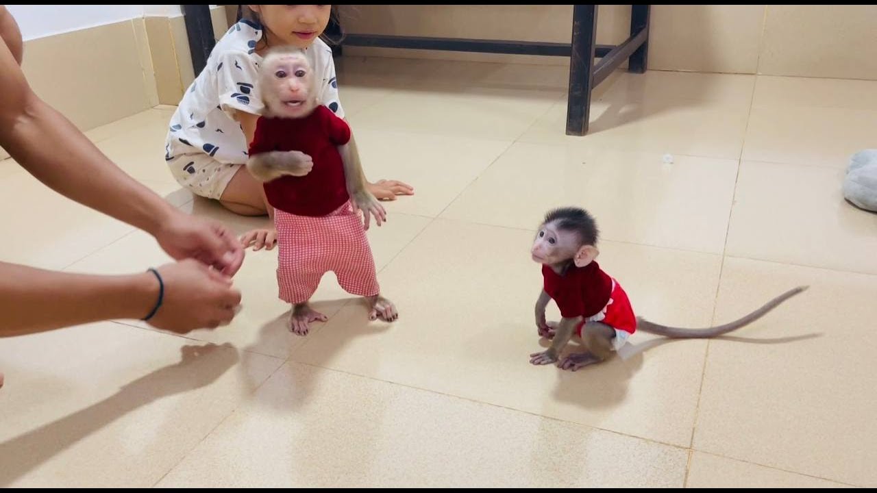 Feel look like human kid, Jasmine so excited & tell mom a bout dad back from work for weekend