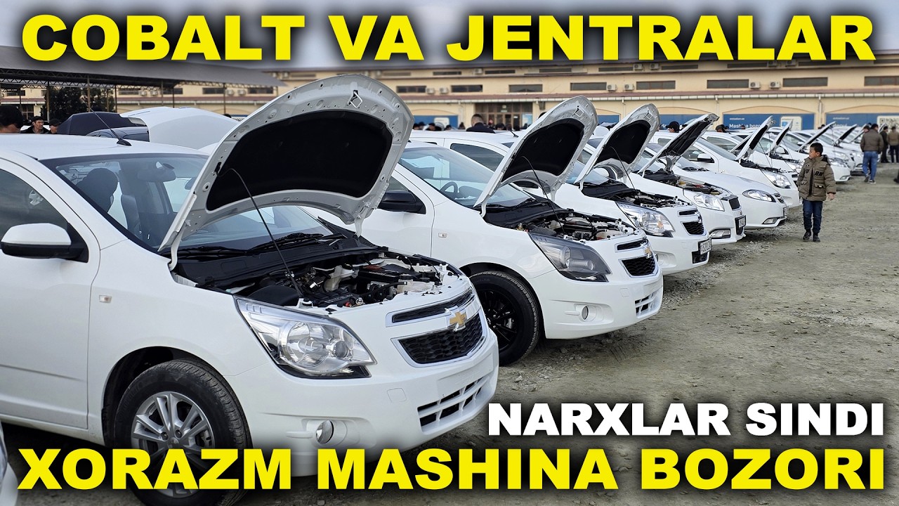 COBALT JENTRA NARXLARI XORZM MASHINA BOZORI 2026