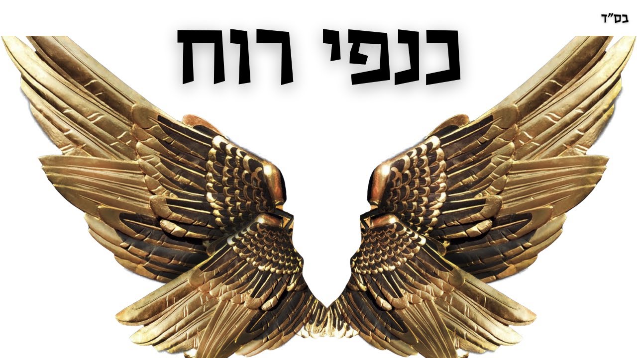 אקורדים לגיטרה | ביני לנדאו - כנפי רוח | לימוד גיטרה | אורי ברנס מורה לגיטרה🎸