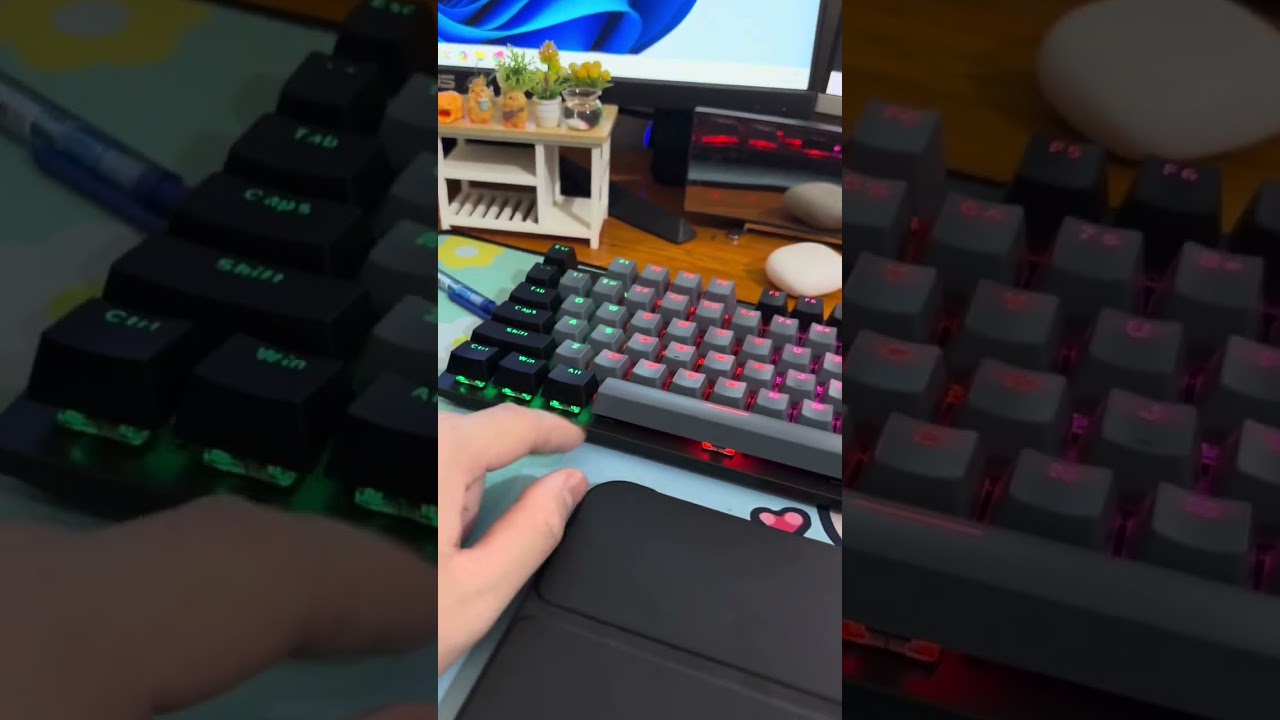 EK315X Mechanical Keyboard – Unboxing & First Impressions | Budget Beast Review