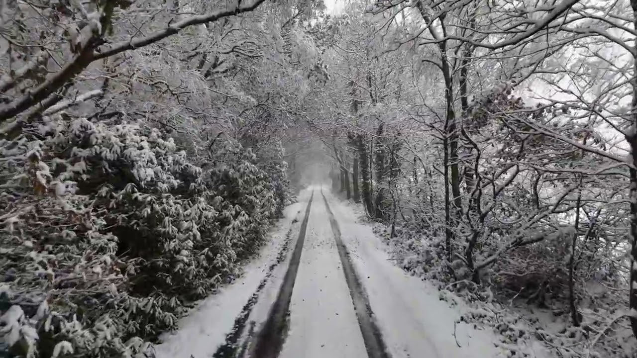 Snowy Path ❄️ Calm Winter Walk | Relaxing Loop