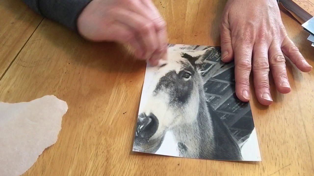 Hand Coloring Photographs