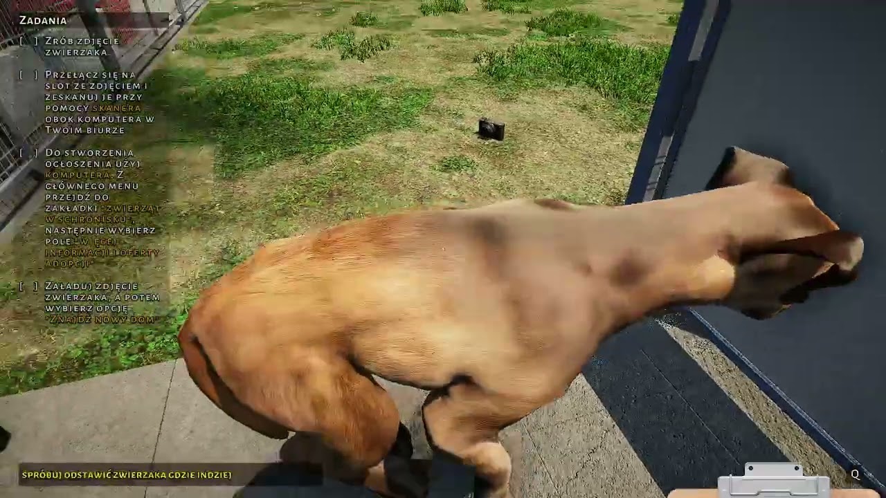 Animal Shelter Simulator