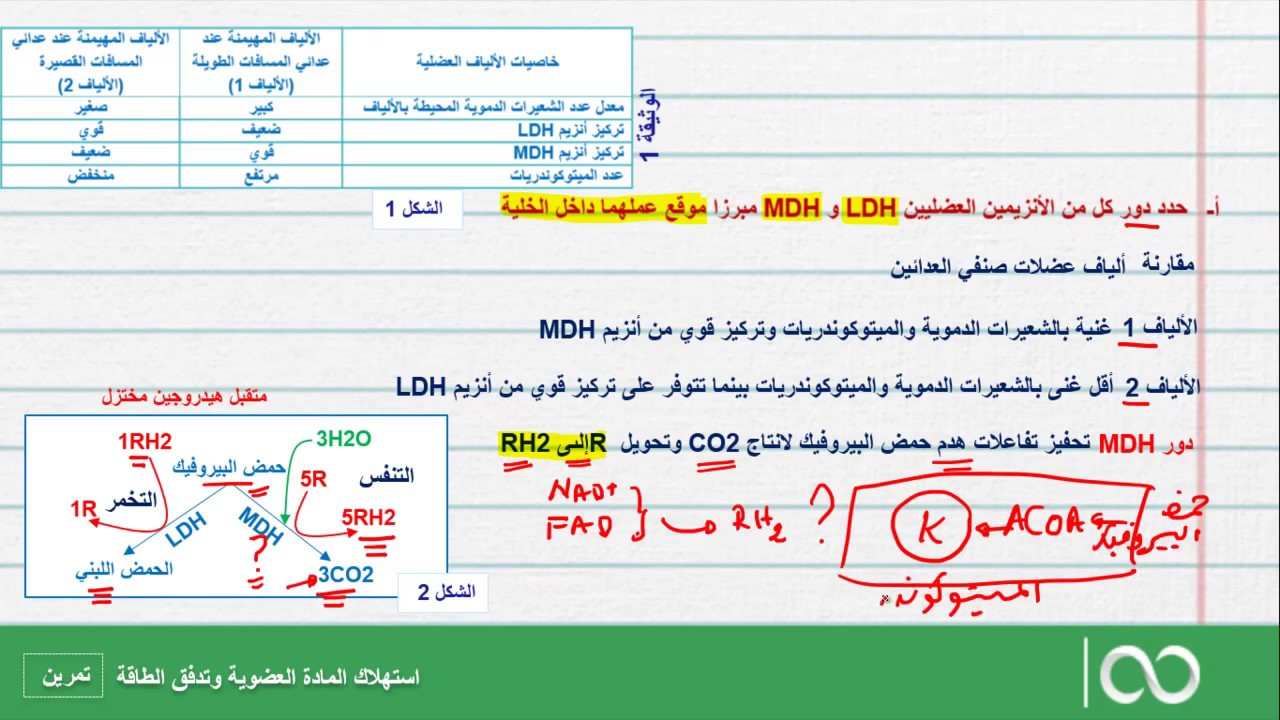 ثانية بكالوريا  علوم الحياة والأرض|  تمرين استهلاك المادة العضوية وتدفق الطاقة