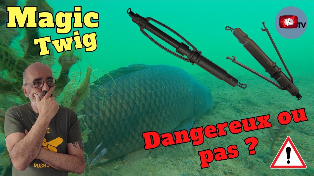 Le Magic Twig : Avis, test et résultats !