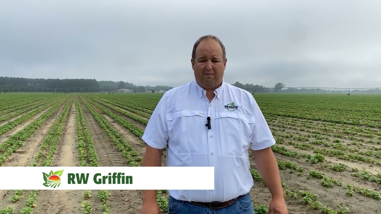 Sunbelt Ag Expo Field Day - Stop 16 RW Griffin