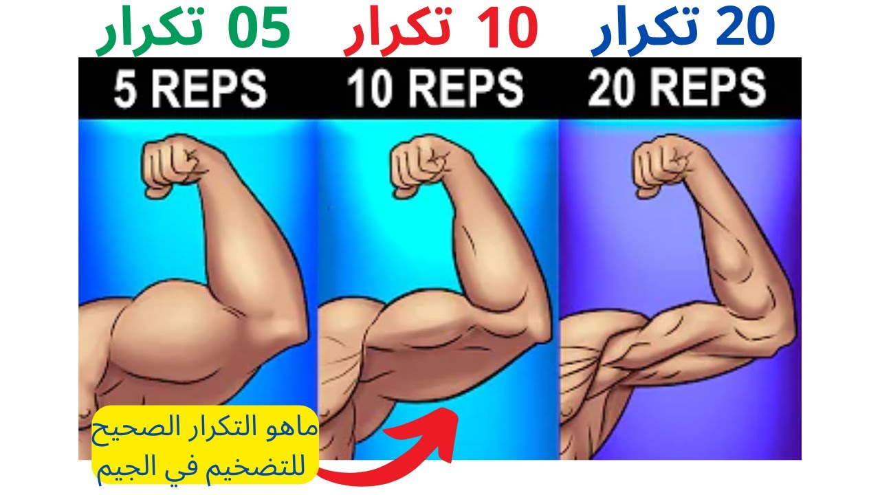 ماهو التكرار الصحيح للتضخيم في الجيم-فئة العدات في التمرينات لضخامة العضلات-Right reps count