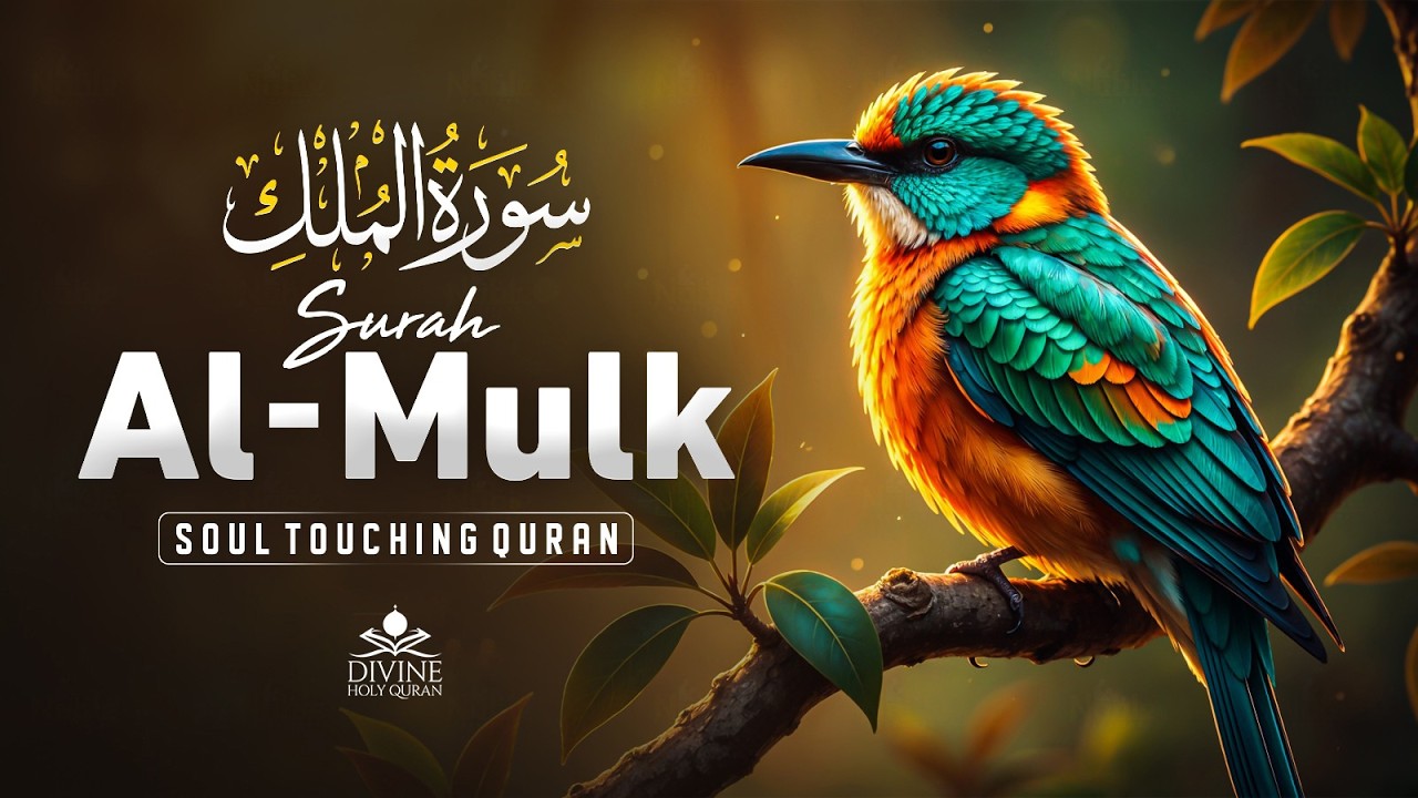 Surah Al-Mulk سورة الملك | Most Beautiful Recitation for Peace, Protection & Deep Sleep #quran