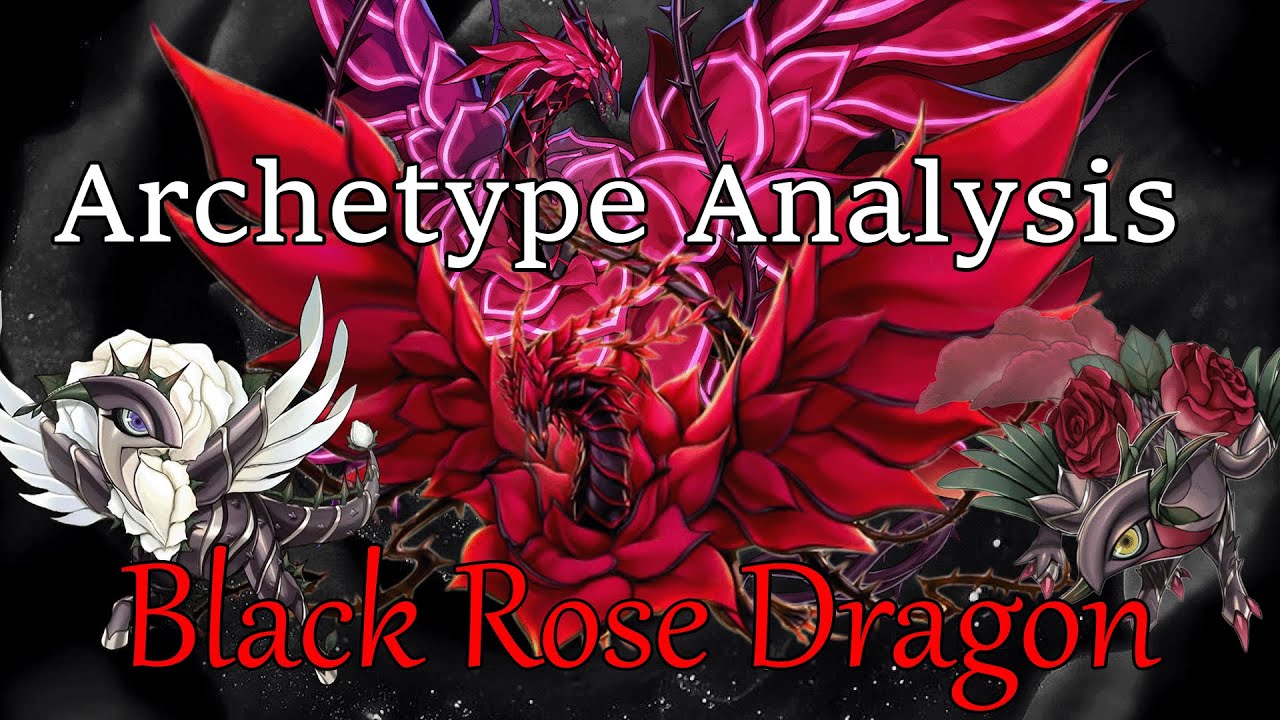 Анализ архетипа Yu-Gi-Oh — Black Rose Dragon | MattTGM