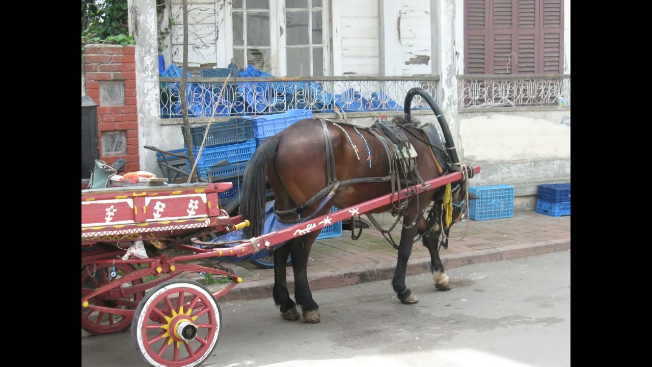 Turkey, Istanbul: Big Island, Buyuk Ada