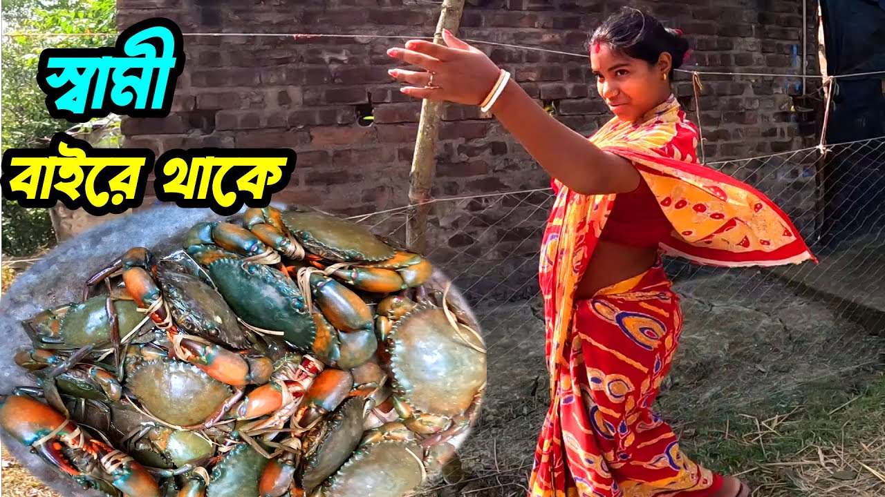 জঙ্গলে কাঁকড়া ধরে সংসার চালাতে হয় । বাঘ সারারাত গোয়াল ঘরে বসেছিল। Sundarban village Life | Sundarban