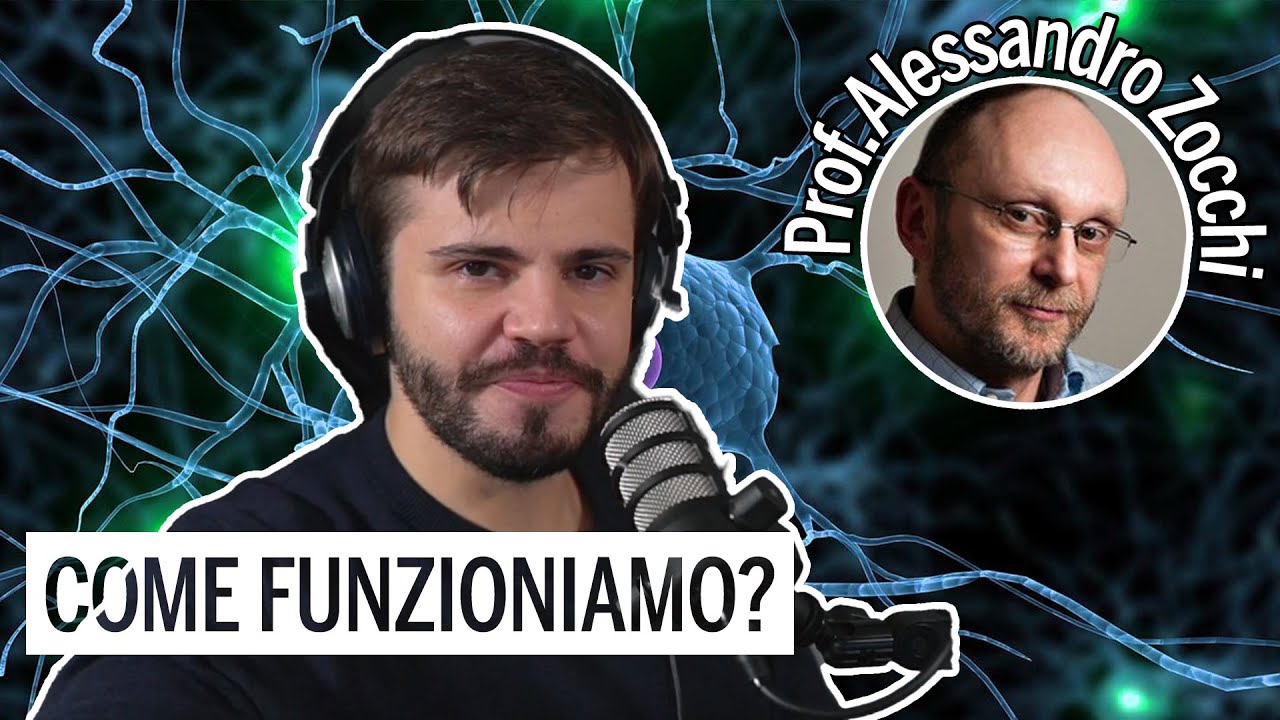 STUDIARE: cosa FUNZIONA secondo le NEUROSCIENZE, con il prof. @zocchialessandro