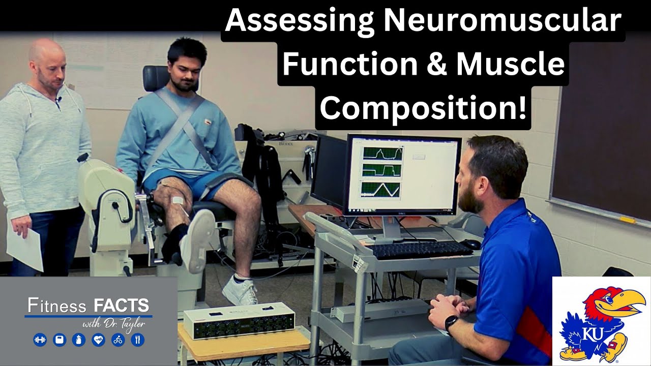 Assessing Neuromuscular Function & Muscle Composition in the KU Neuromechanics Lab!