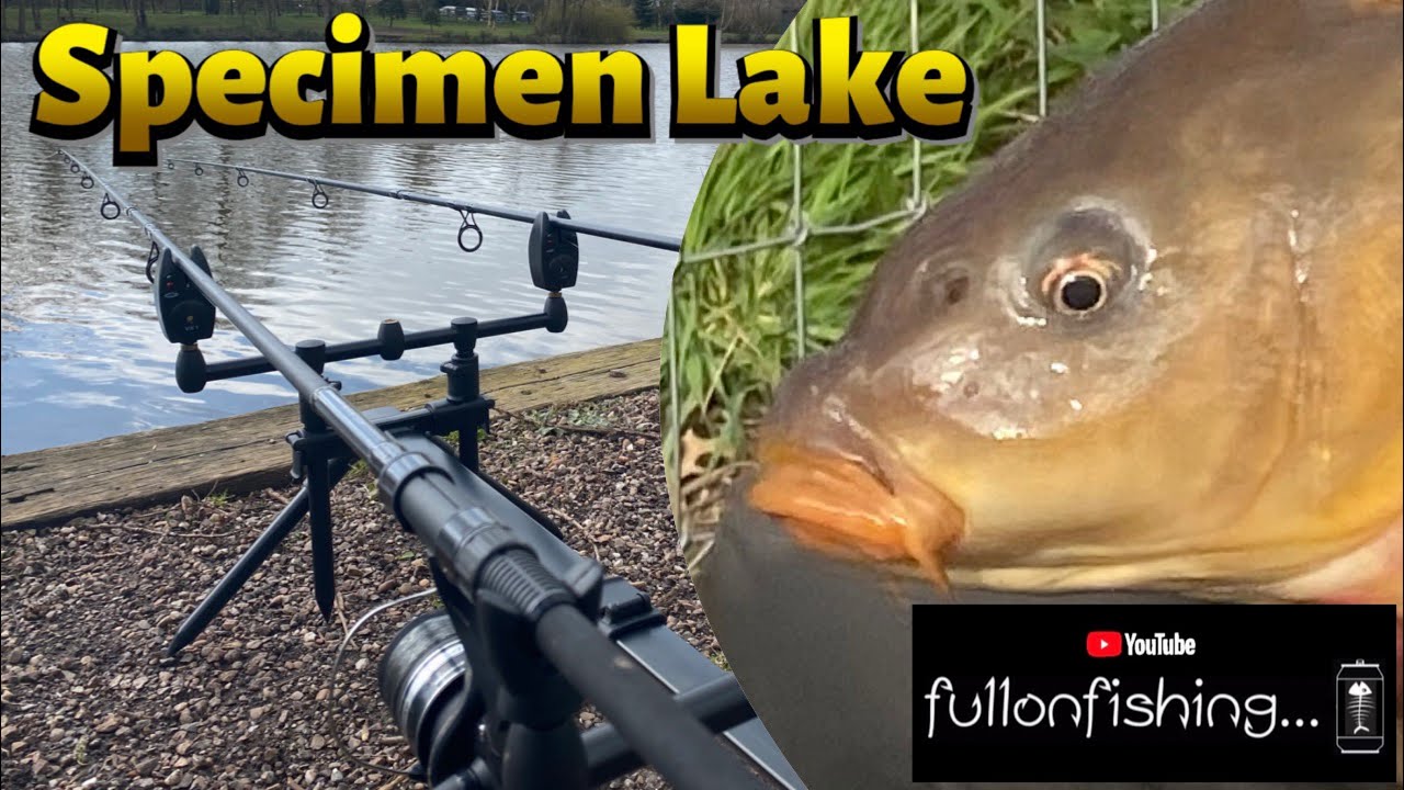 CARP FISHING Specimen Lake at Goodiford, Cullompton, Devon. I caught a MONSTER! UK Angling 2021