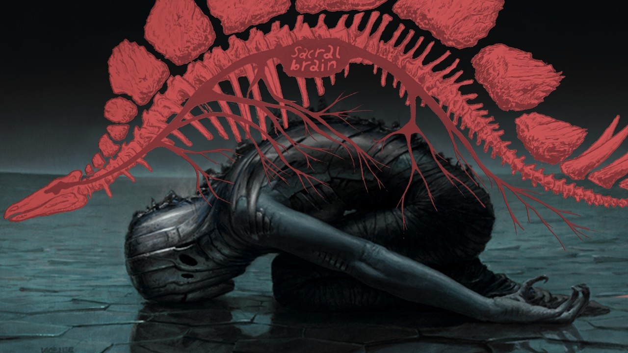 The Trauma of Wounded Galaxies (Spinal Catastrophism Part 2)