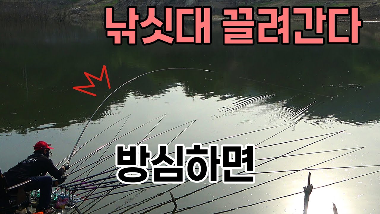 낚시대 훔쳐가는 힘좋은 깡패 붕어 붕어낚시