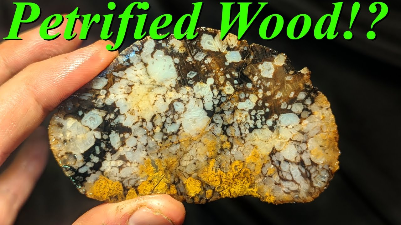 Beautiful Petrified Wood! Slabbing a Heap of Agatized Wood, Montana Moss Agates, and Jaspers!