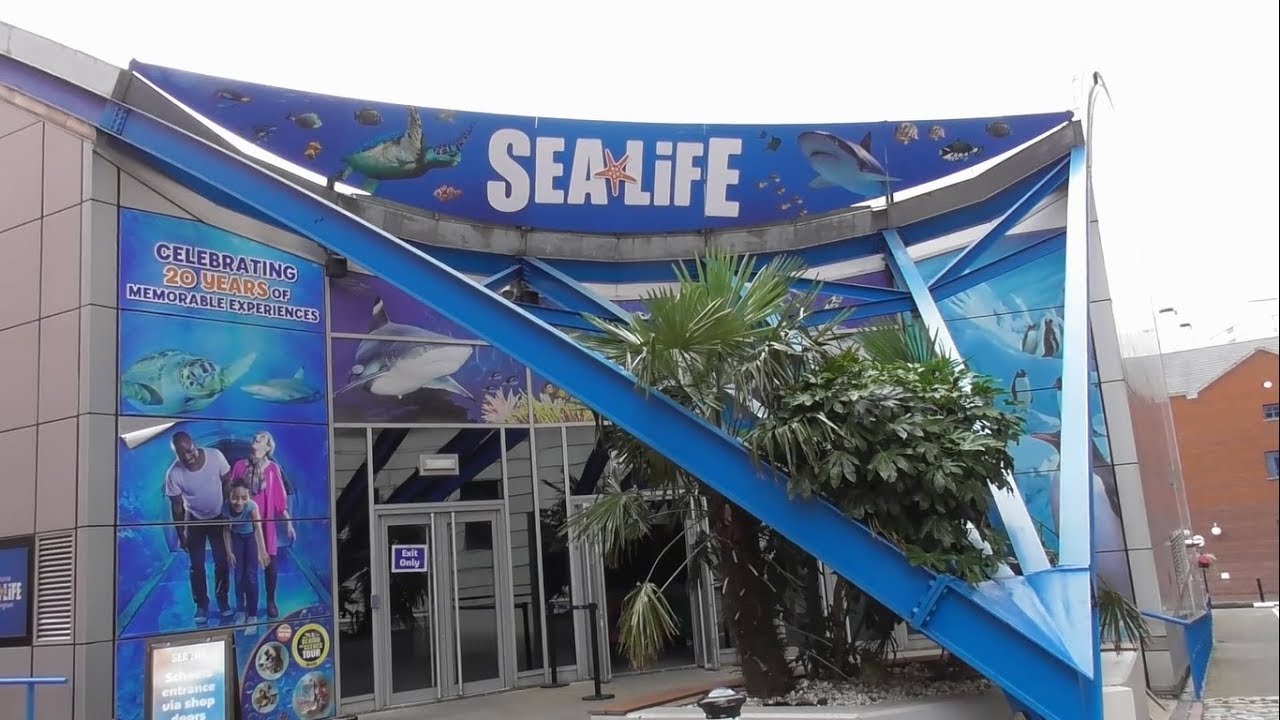 Sealife Birmingham, July 2019