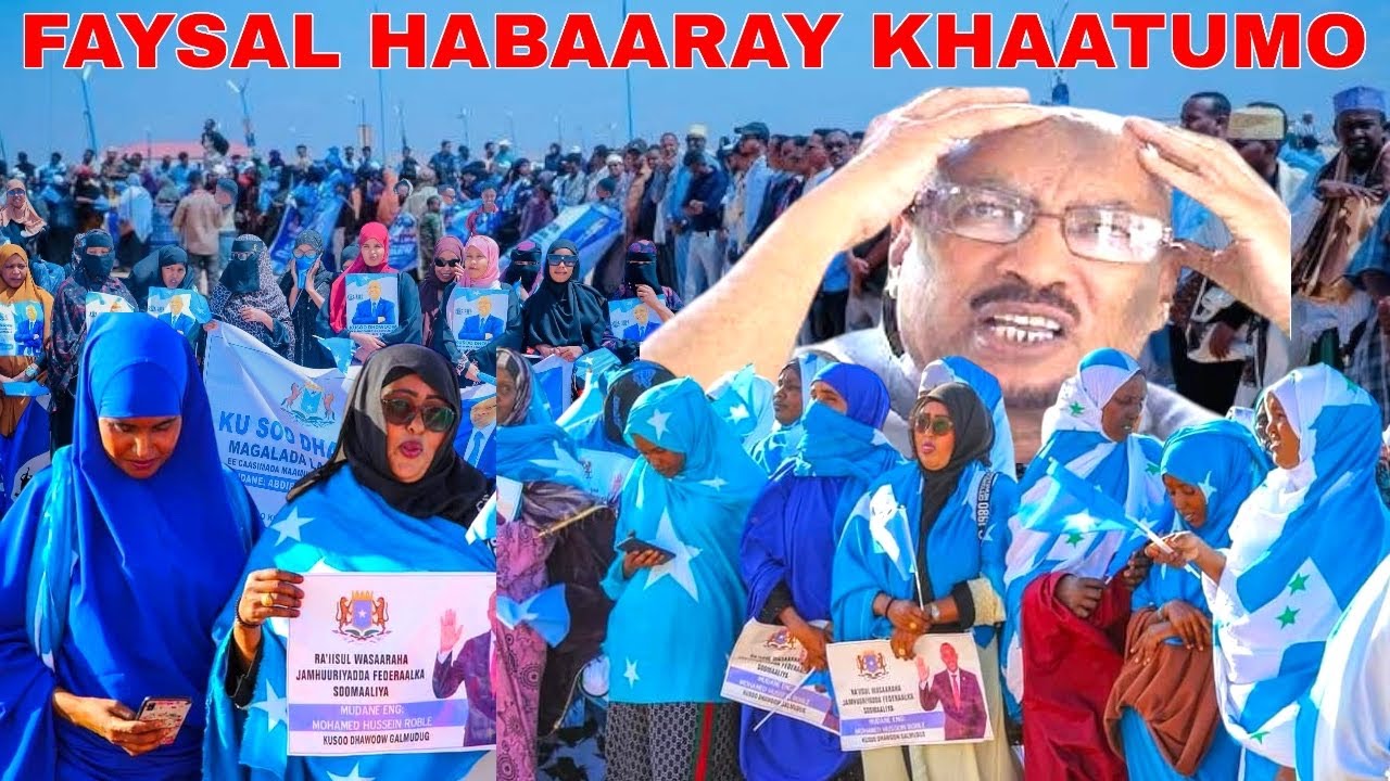 DEGDEG FAYSAL CALI WARAABE OOHIN AFKA FURTAY QIRAY IN SOMALILAND LAGA ADKAADAY,HABAARA XASAN SHEEKH.