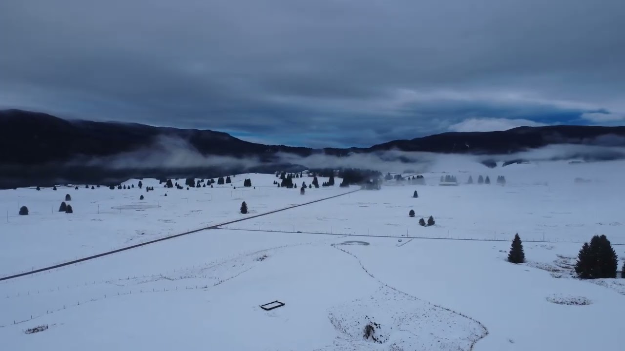 Cansiglio con la neve - 24 gennaio 2026