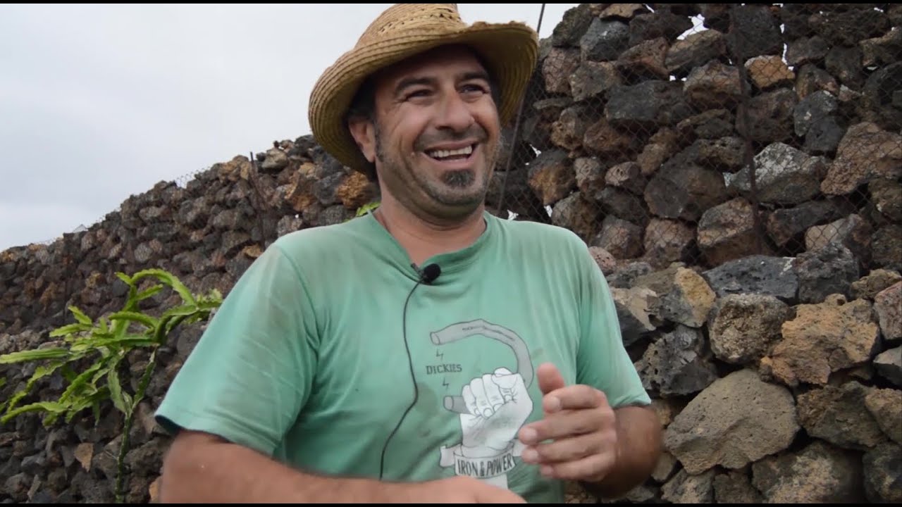 CULTIVANDO EN VOLCANES: Agricultura en Lanzarote |Versión corta