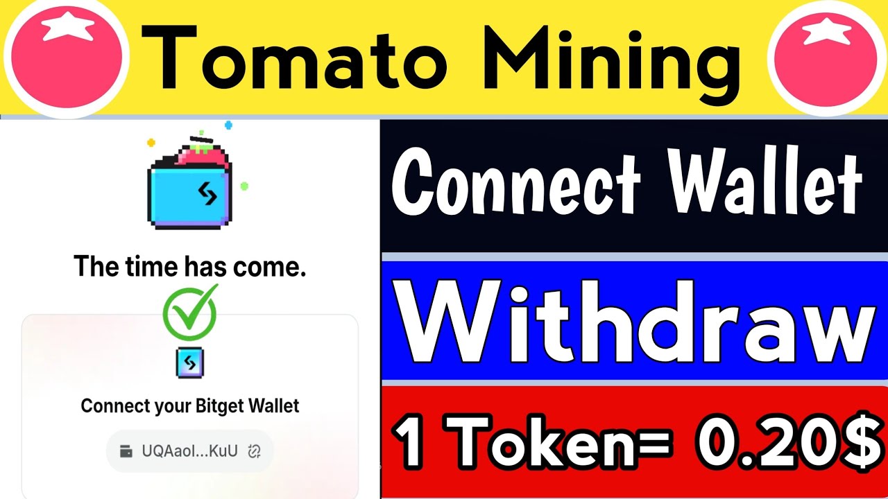 Tomarket Mining App Connect Wallet || Tomarket Tomato Mining Wallet Connect | Tomato Mining App