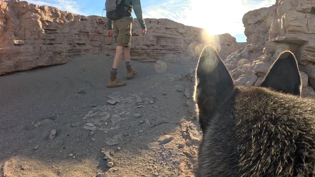 Luna Cam:  Luna explores the Tumco Mine  |  Imperial County, CA