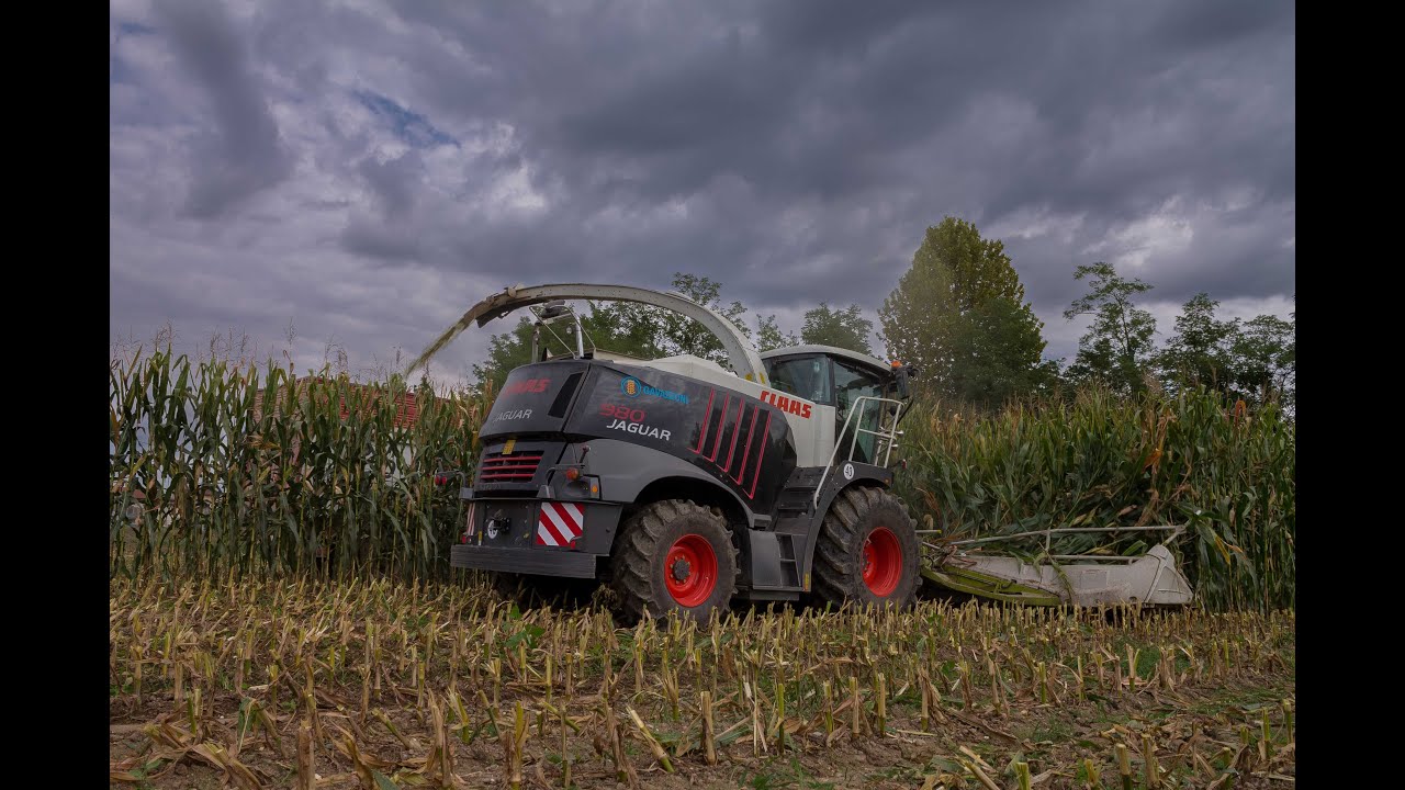 GAVAZZONI SRL l  CLAAS Jaguar 980 BLACK BEAUTY 12 rows + CLAAS Axion 950, Axion 840 & FENDT 930vario