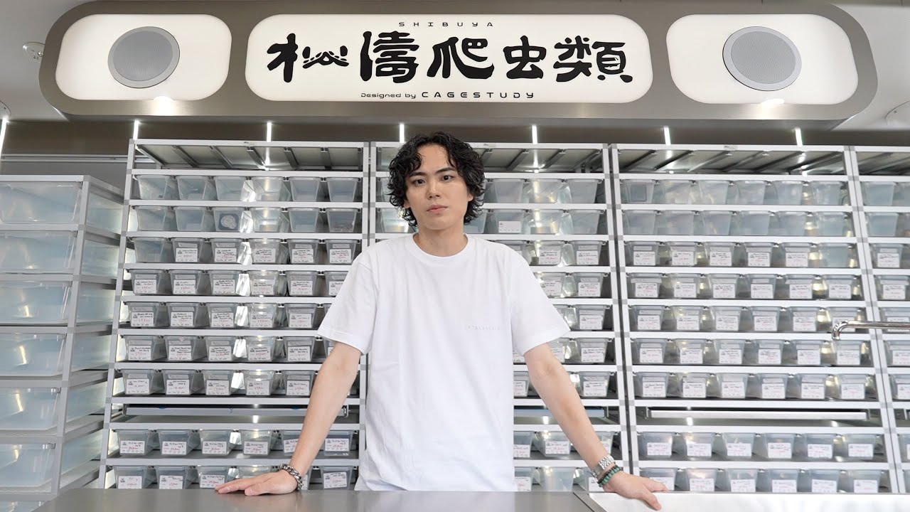 おしゃれすぎる爬虫類ショップが渋谷に爆誕！Tシャツモデルのはずが◯◯◯お迎え!?【松濤爬虫類】